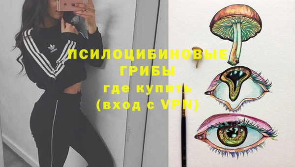a pvp Бугульма