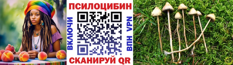 Галлюциногенные грибы MAGIC MUSHROOMS Сосногорск