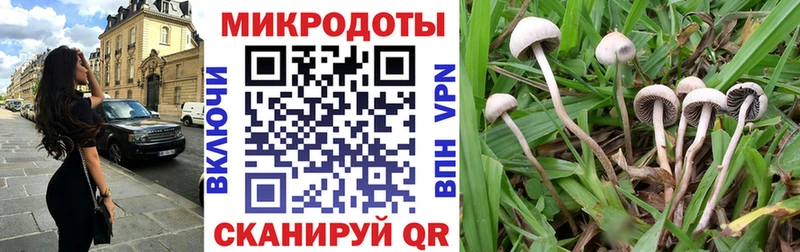 где купить наркотик  Сосногорск  Галлюциногенные грибы Psilocybe 